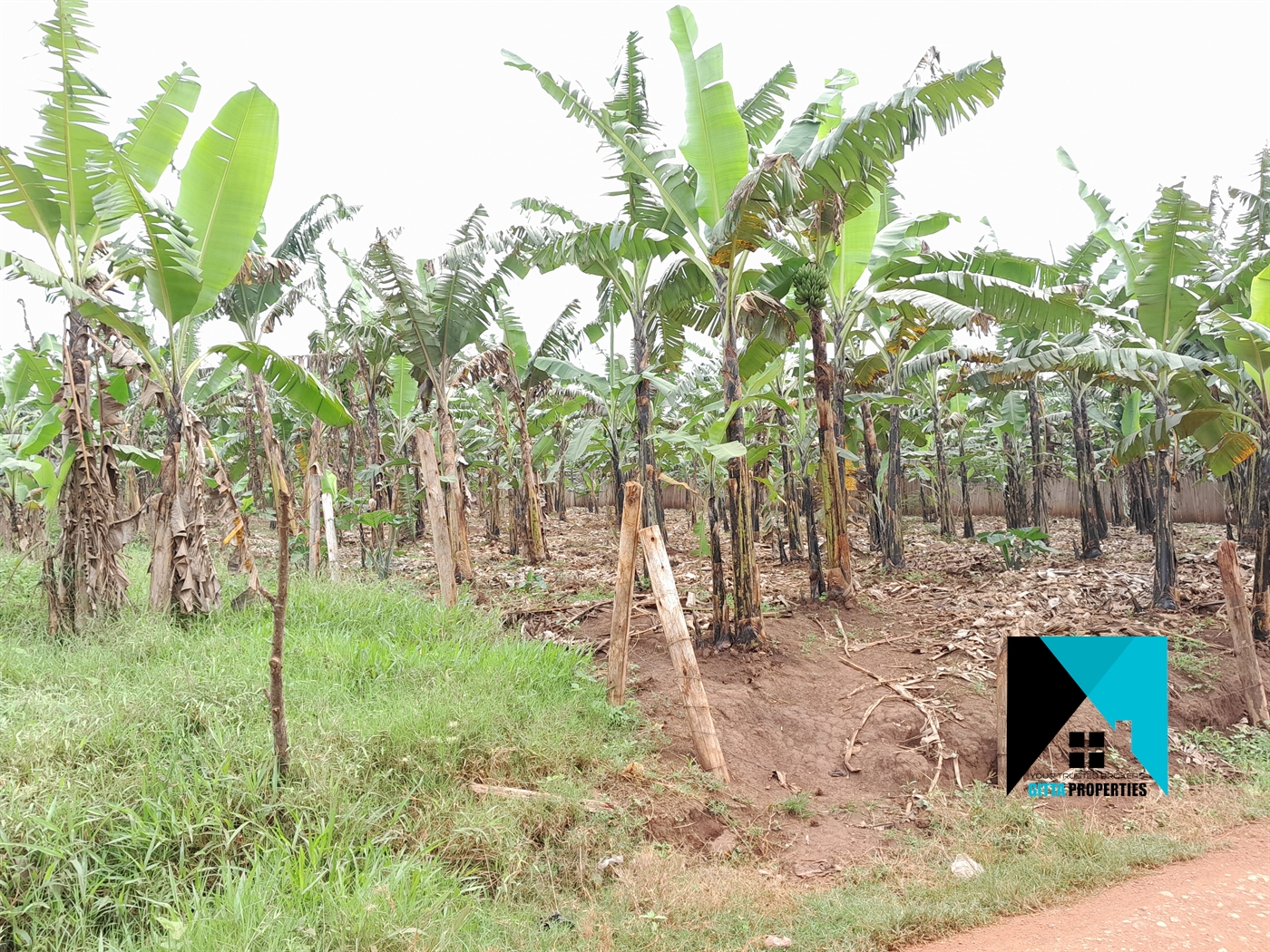 Residential Land for sale in Kitukutwe Wakiso