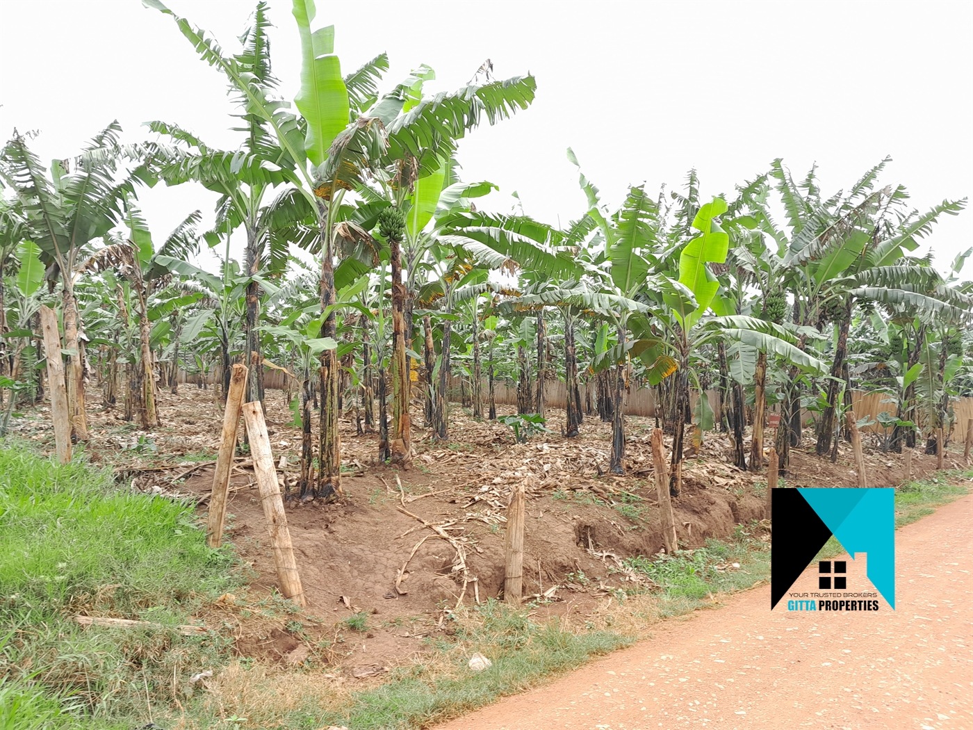 Residential Land for sale in Kitukutwe Wakiso