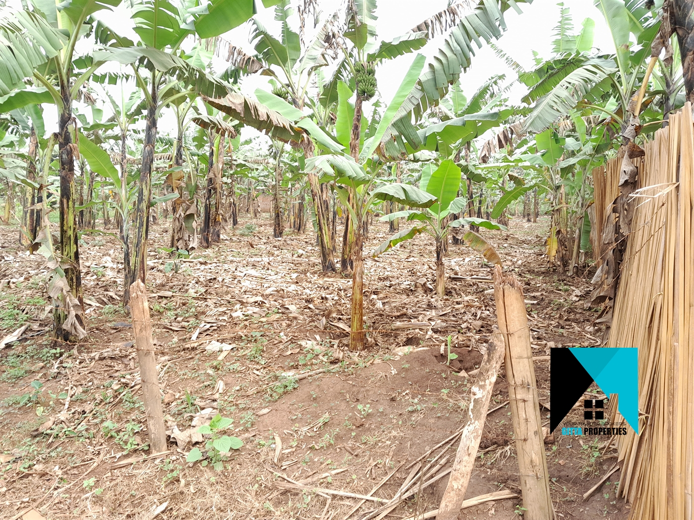 Residential Land for sale in Kitukutwe Wakiso