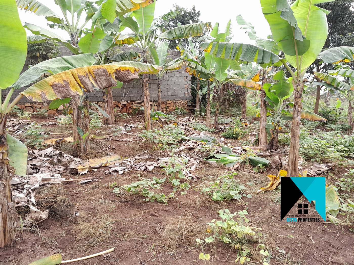 Residential Land for sale in Kitukutwe Wakiso