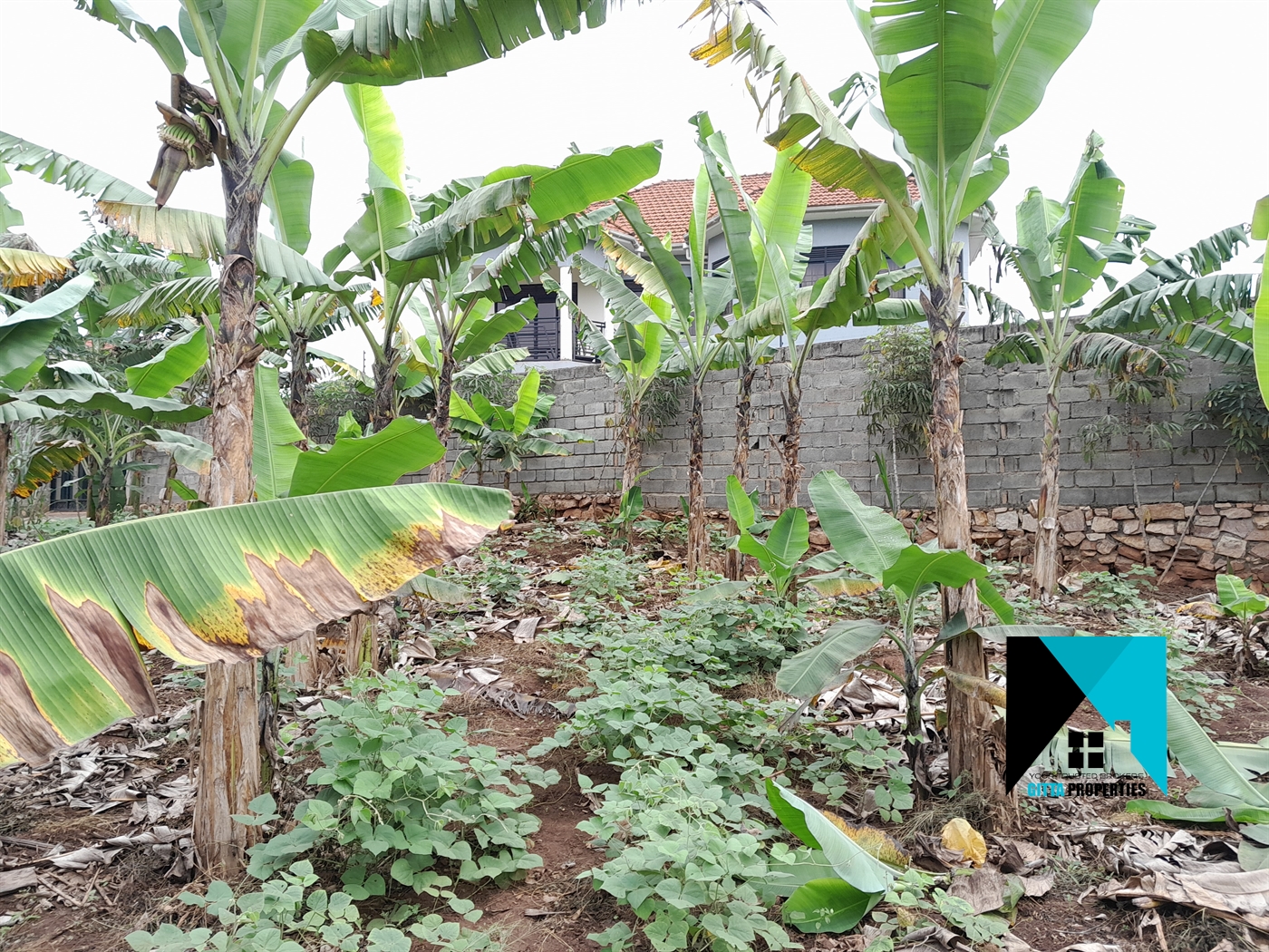 Residential Land for sale in Kitukutwe Wakiso