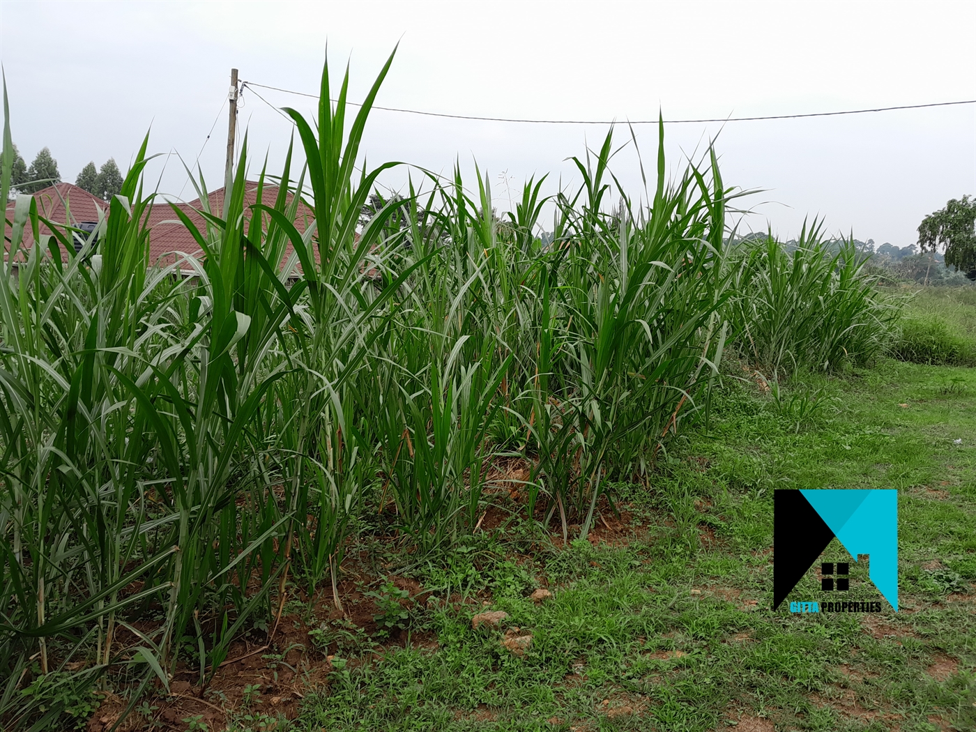 Residential Land for sale in Kitukutwe Wakiso