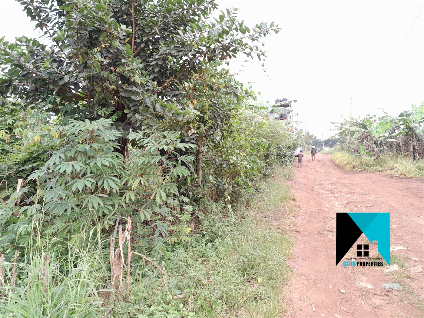 Residential Land for sale in Kitukutwe Wakiso