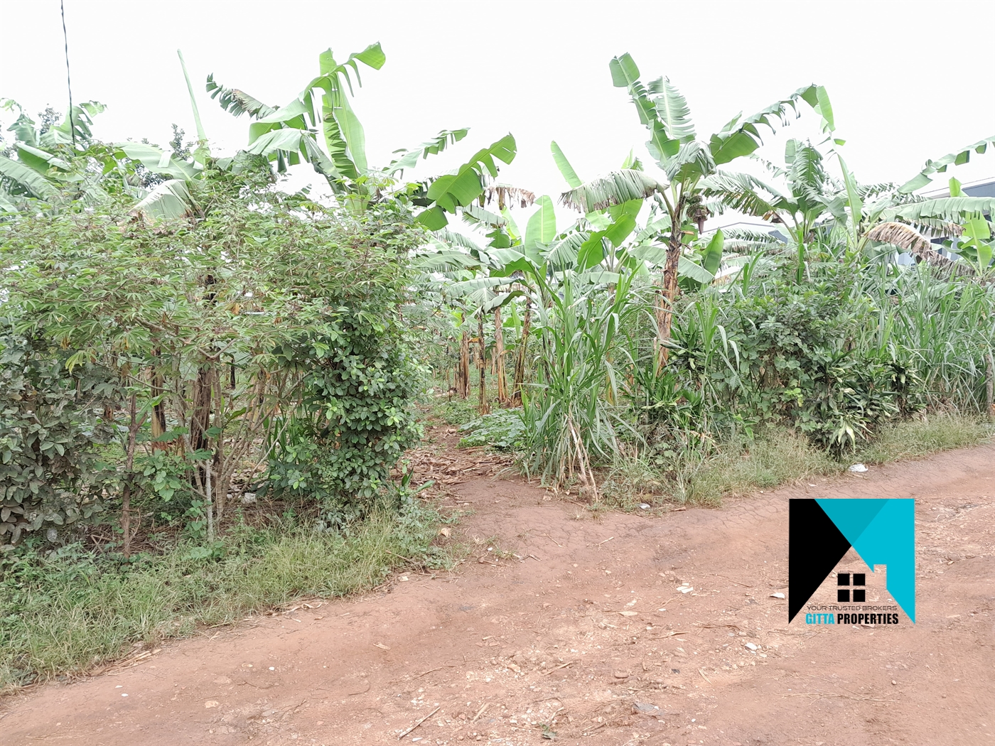 Residential Land for sale in Kitukutwe Wakiso