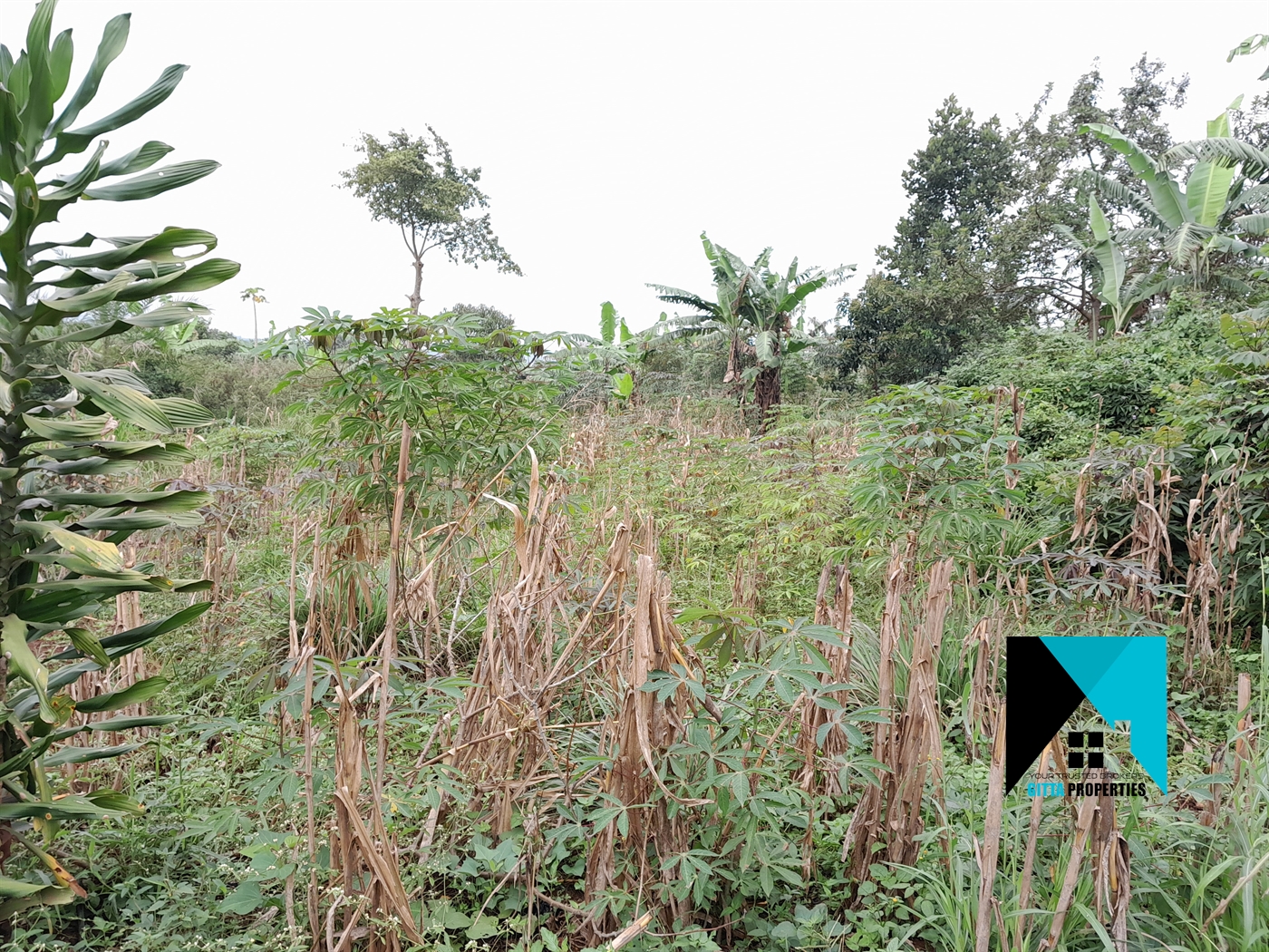 Residential Land for sale in Kitukutwe Wakiso