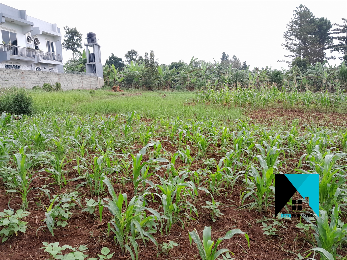 Residential Land for sale in Kitukutwe Wakiso