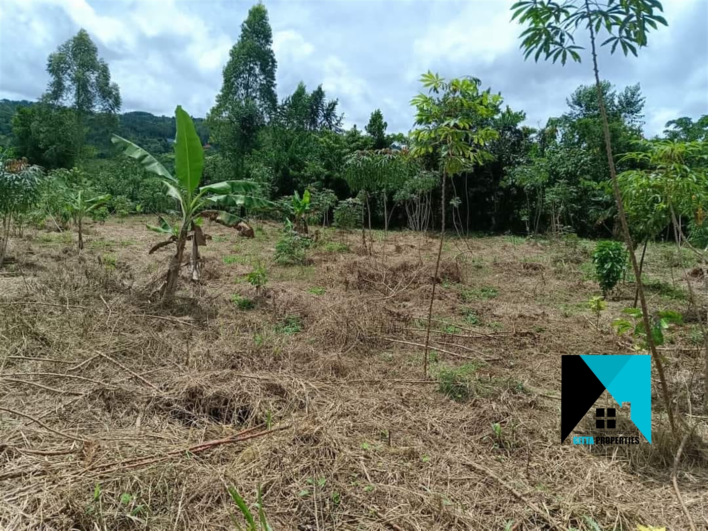 Multipurpose Land for sale in Kisoga Mukono