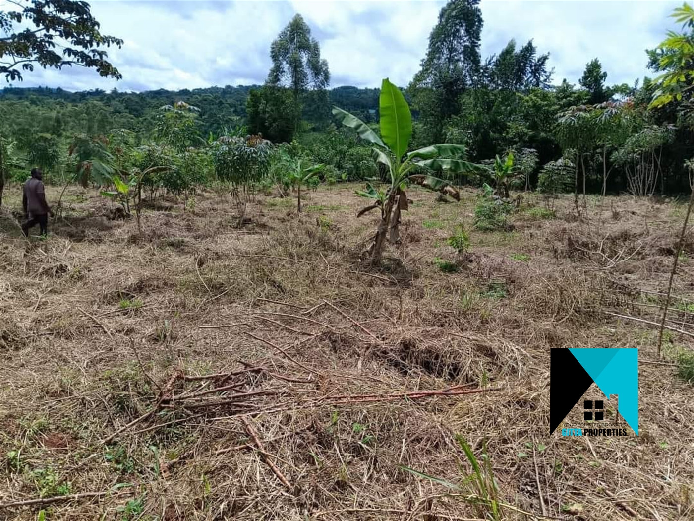 Multipurpose Land for sale in Kisoga Mukono