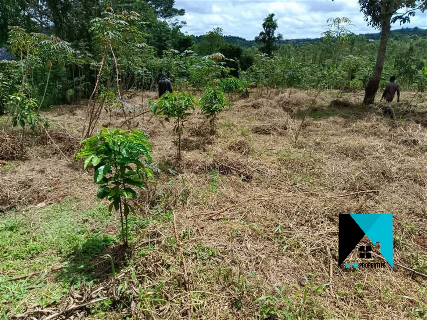 Multipurpose Land for sale in Kisoga Mukono