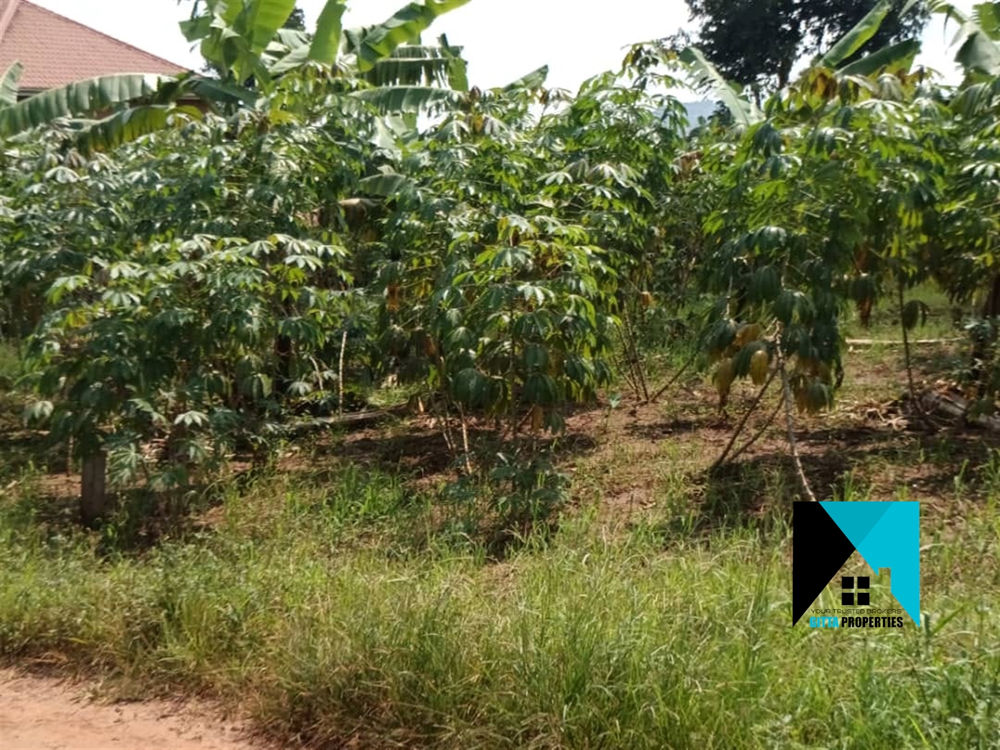 Multipurpose Land for sale in Bweya Wakiso