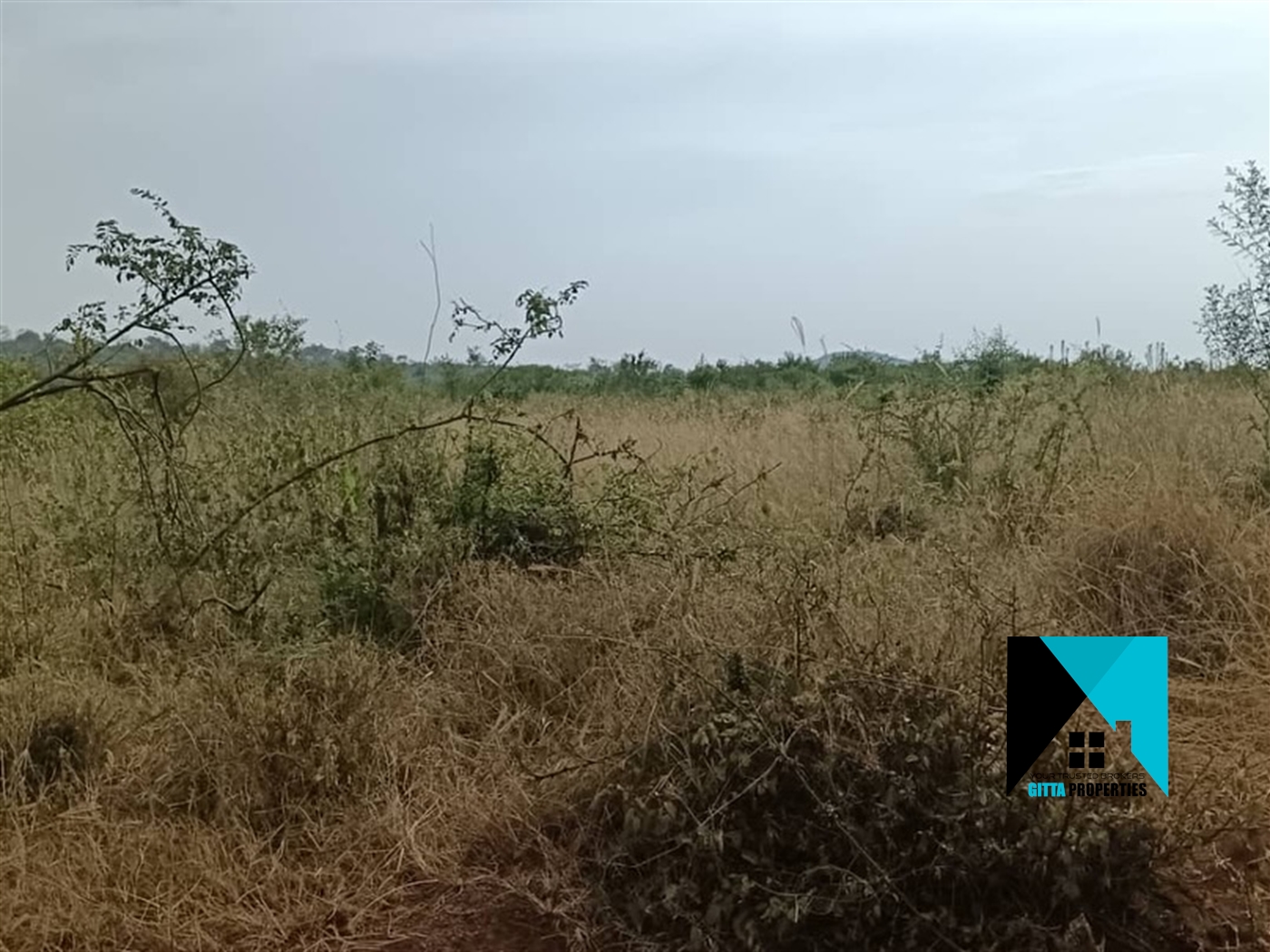 Multipurpose Land for sale in Businsi Hoima