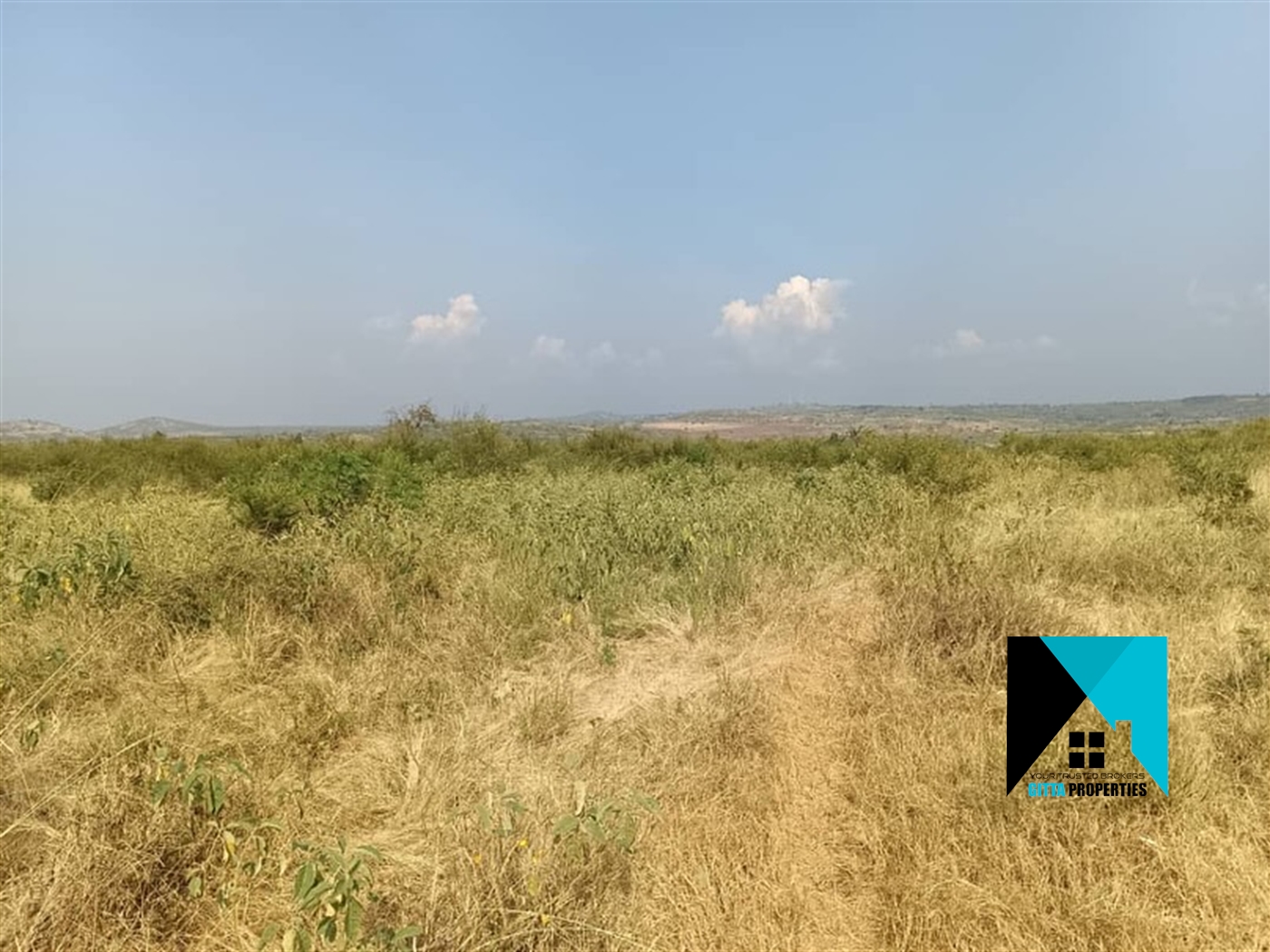 Multipurpose Land for sale in Businsi Hoima