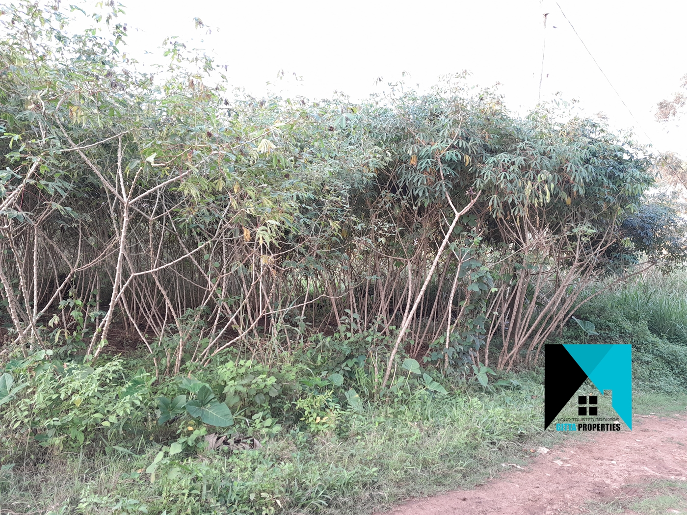 Residential Land for sale in Namugongo Wakiso