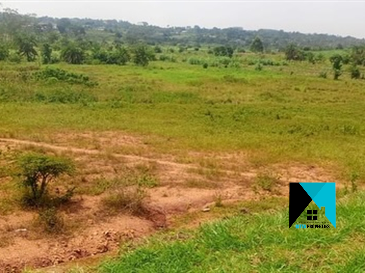 Residential Land for sale in Namulonge Wakiso