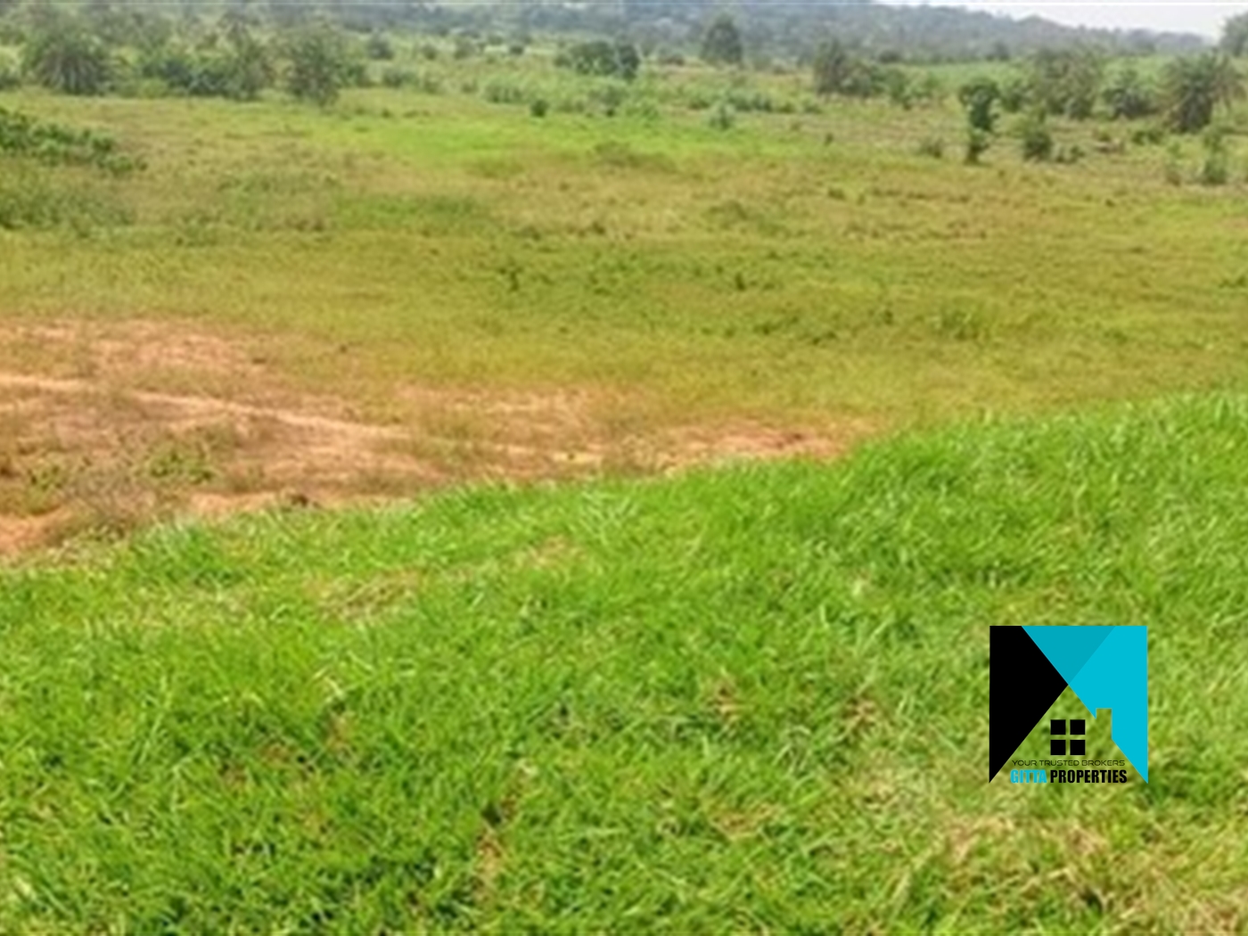 Residential Land for sale in Namulonge Wakiso