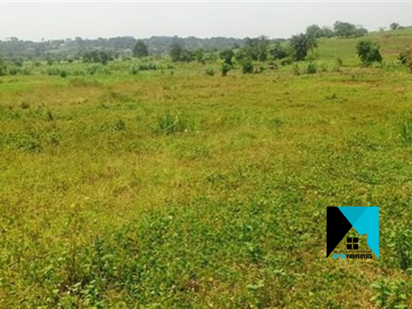 Residential Land for sale in Namulonge Wakiso