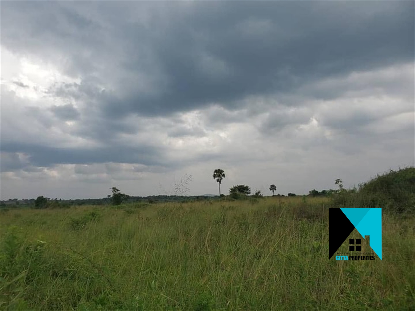 Multipurpose Land for sale in Kabunyata Luweero