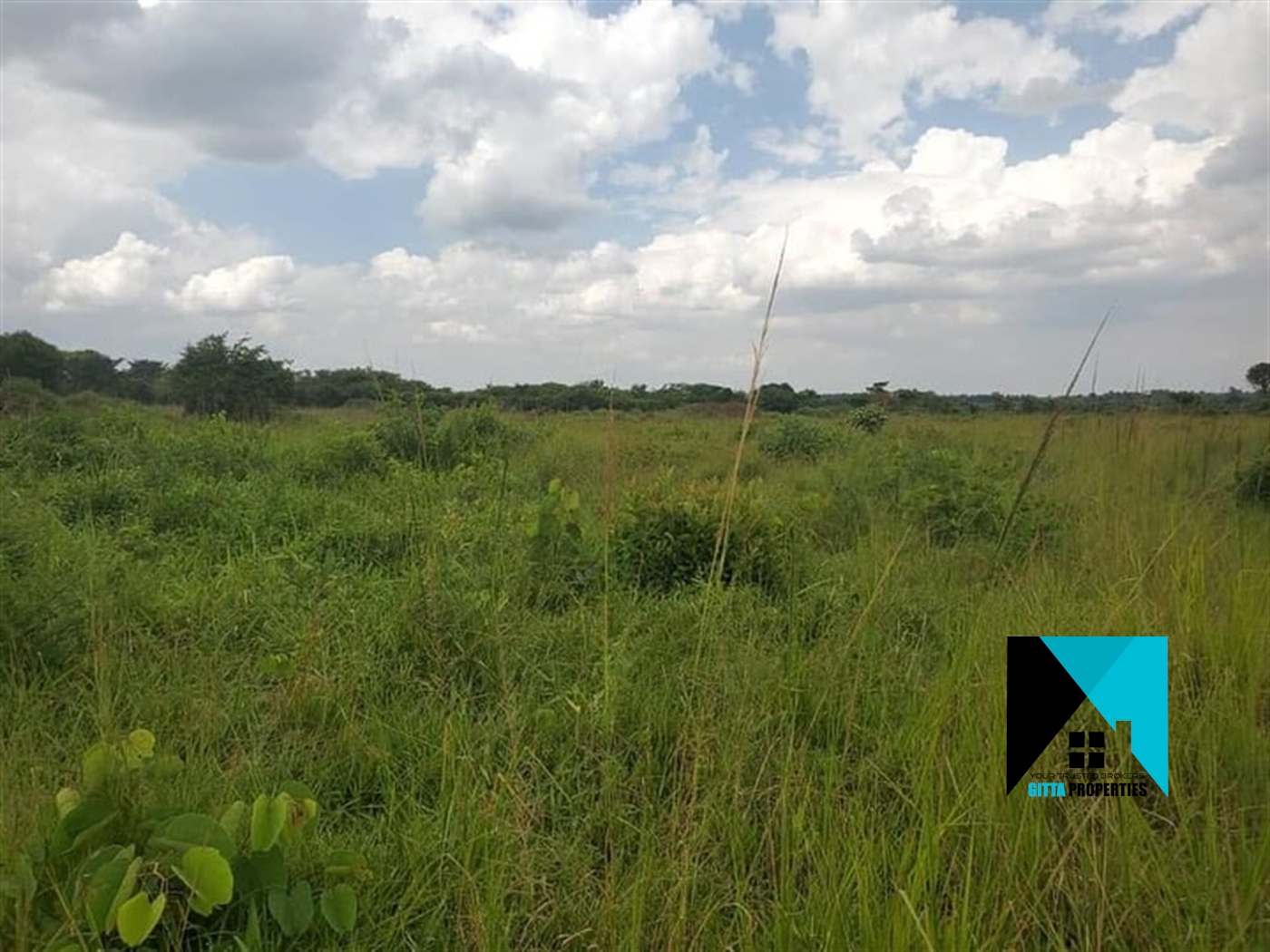 Multipurpose Land for sale in Kabunyata Luweero