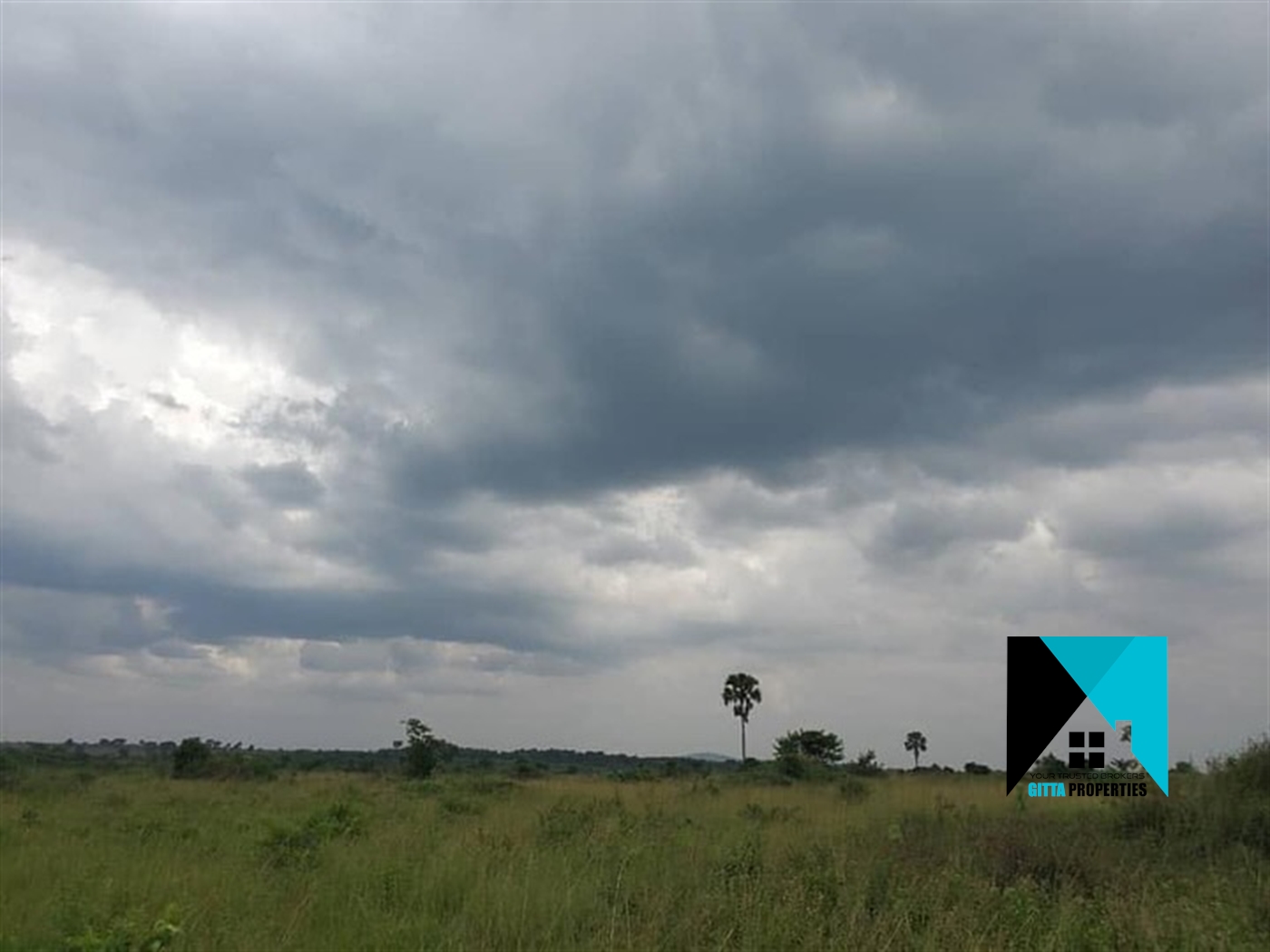 Multipurpose Land for sale in Kabunyata Luweero