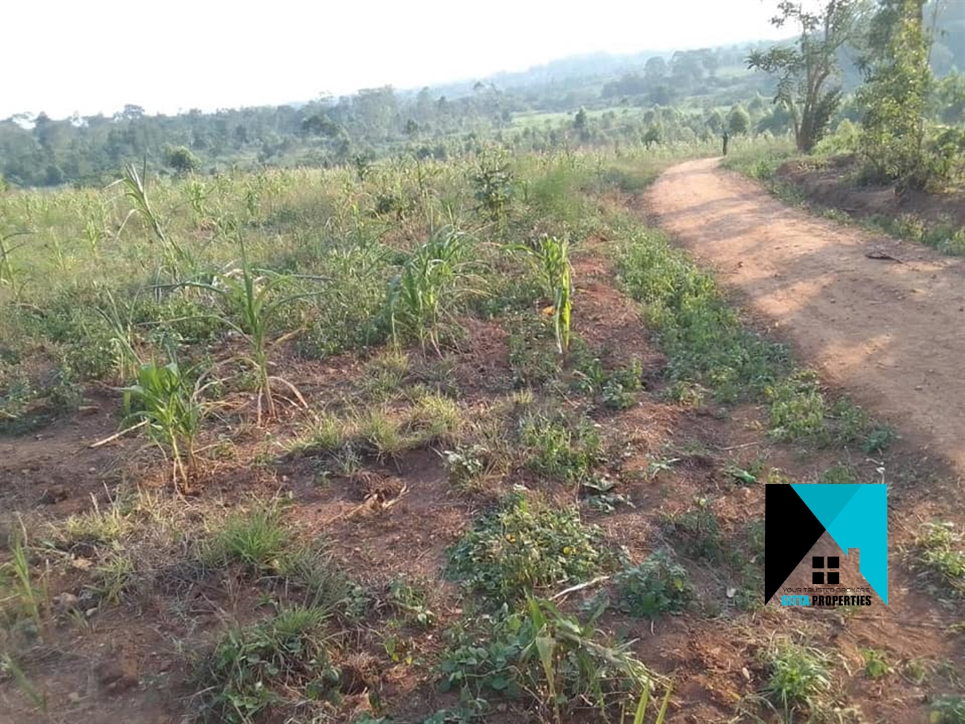 Residential Land for sale in Migadde Wakiso