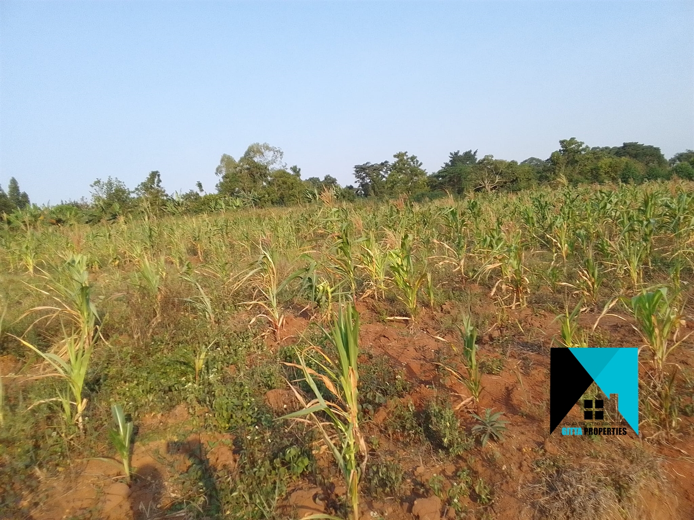 Residential Land for sale in Migadde Wakiso