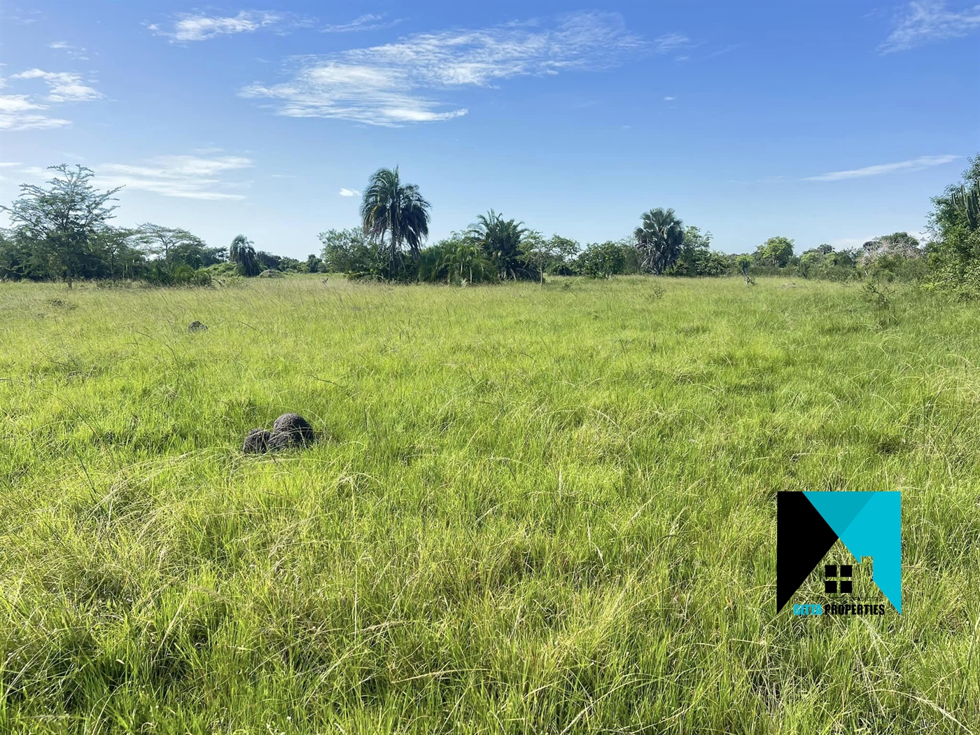 Multipurpose Land for sale in Masode Kiboga