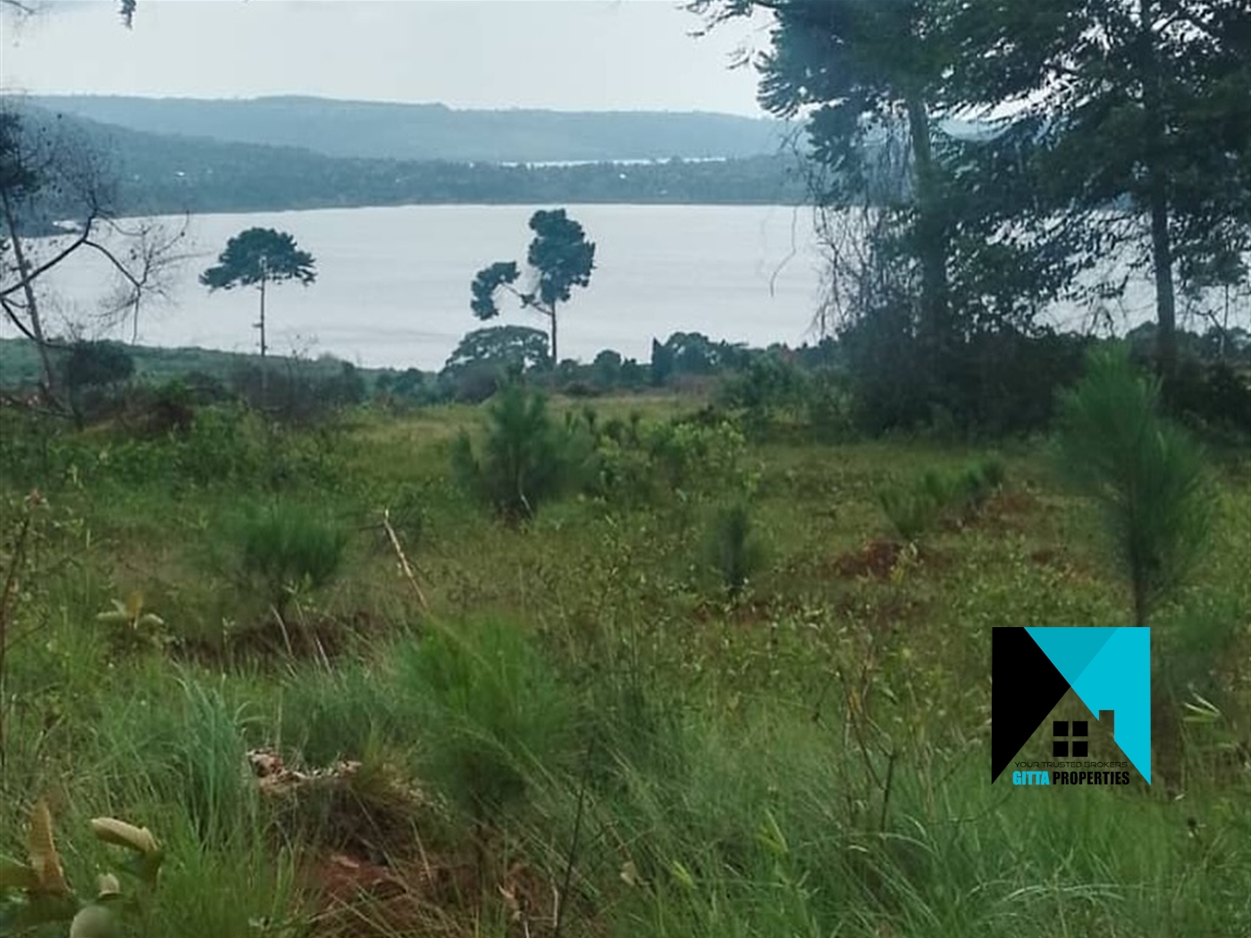 Multipurpose Land for sale in Katosi Mukono