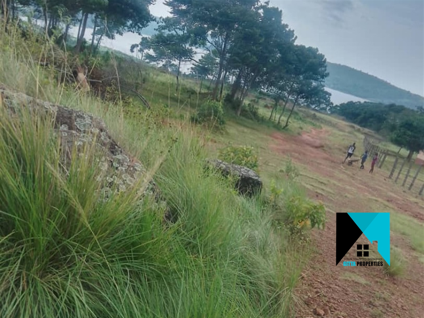 Multipurpose Land for sale in Katosi Mukono