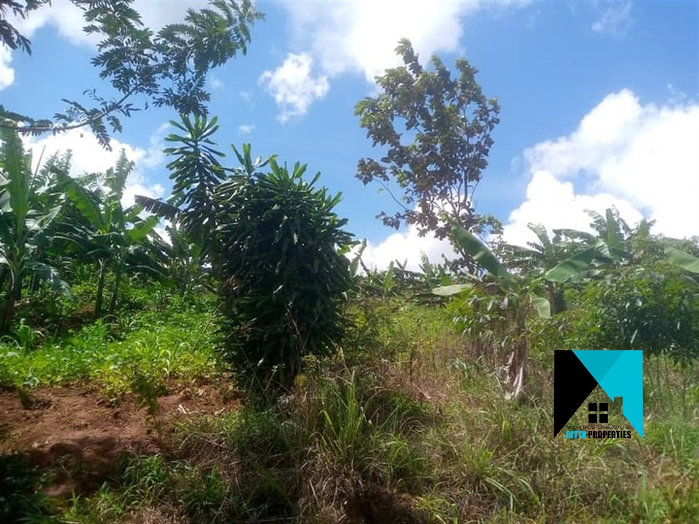 Multipurpose Land for sale in Kabulasoke Gomba