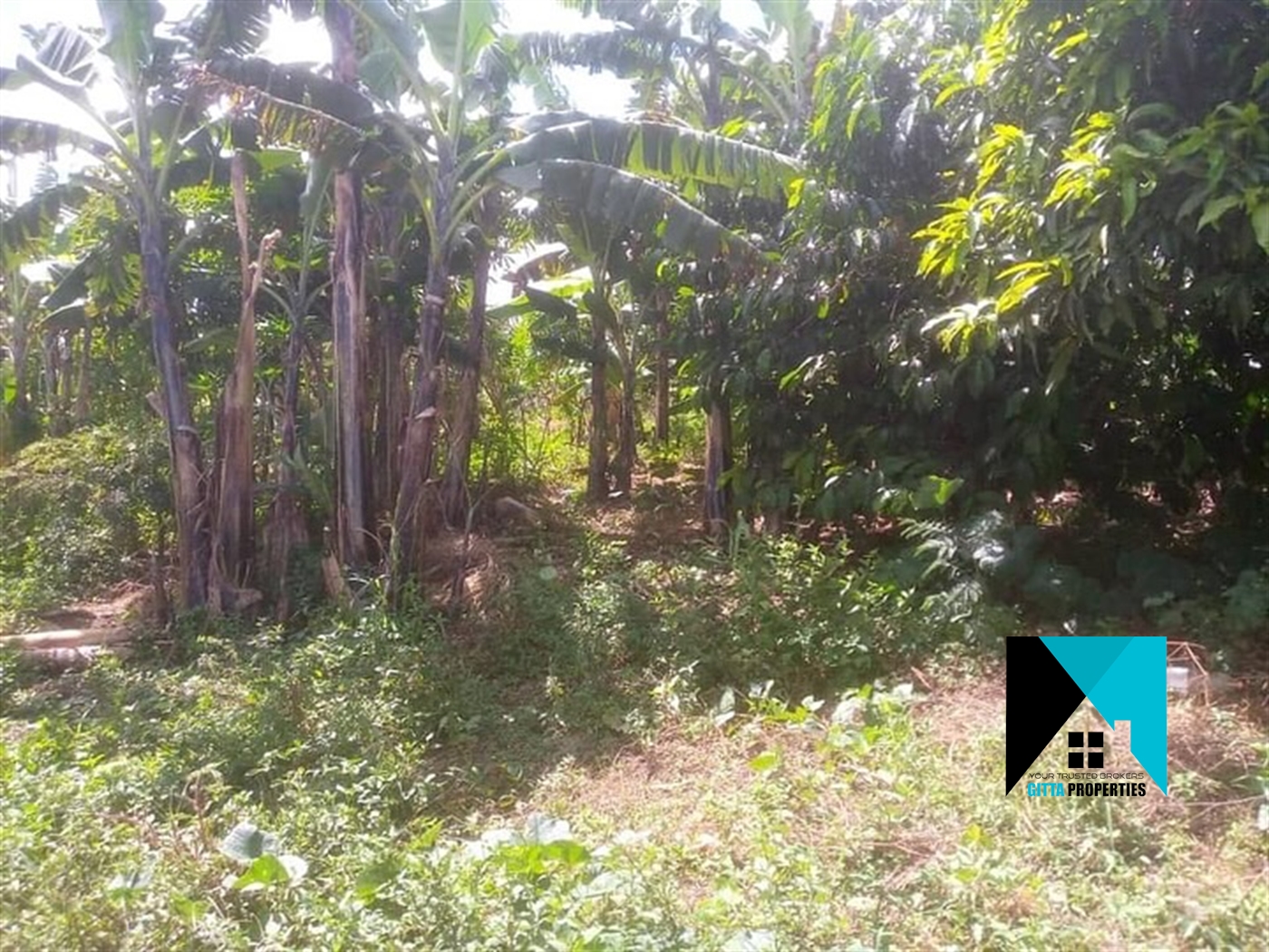 Multipurpose Land for sale in Kabulasoke Gomba