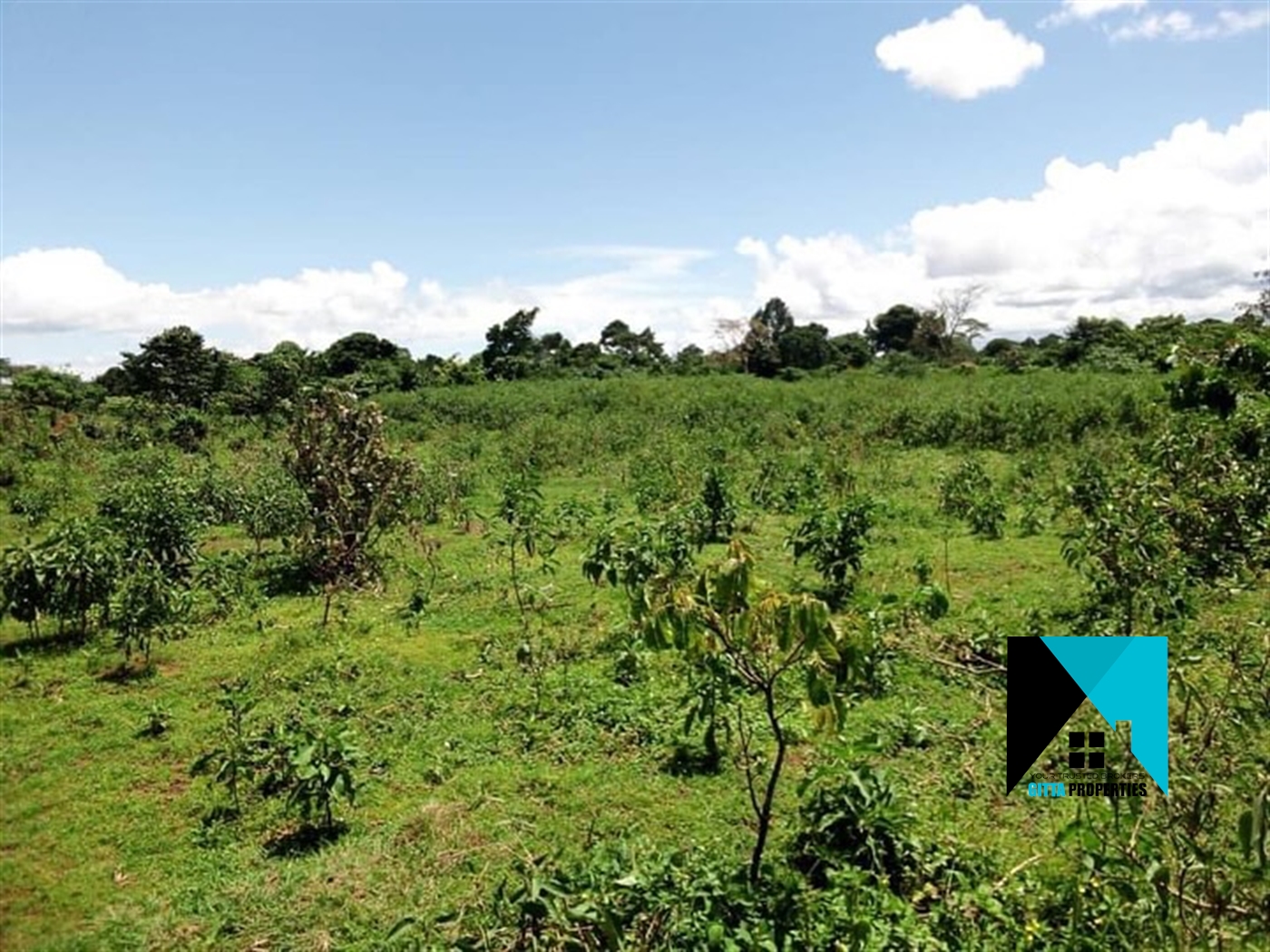 Multipurpose Land for sale in Kassanda Mubende