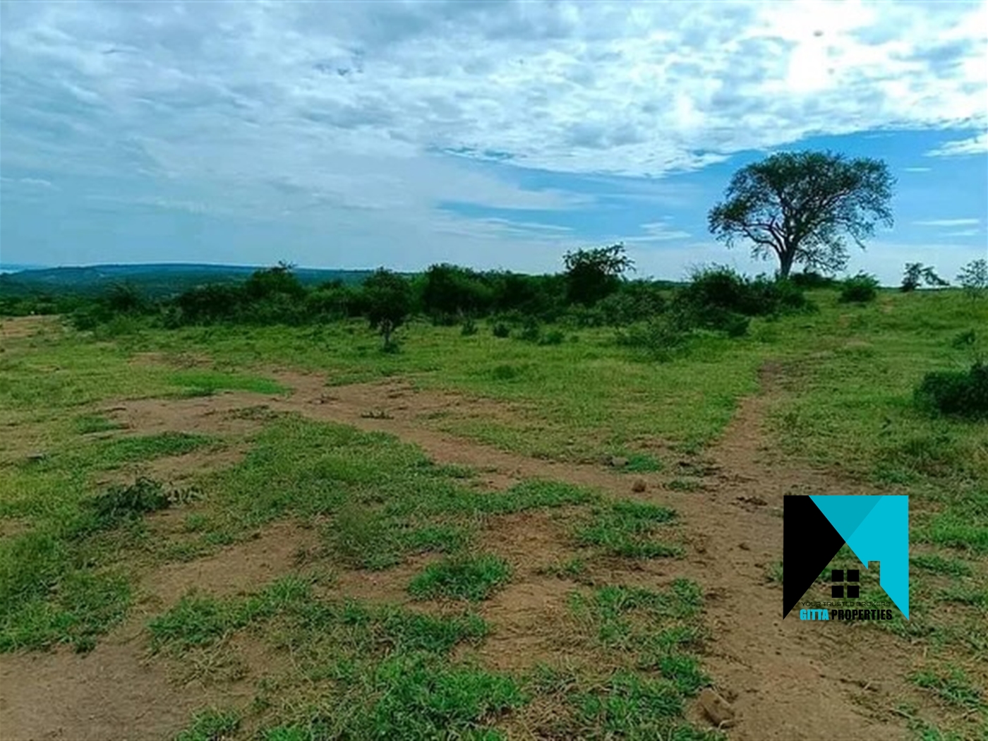 Multipurpose Land for sale in Kassanda Mubende