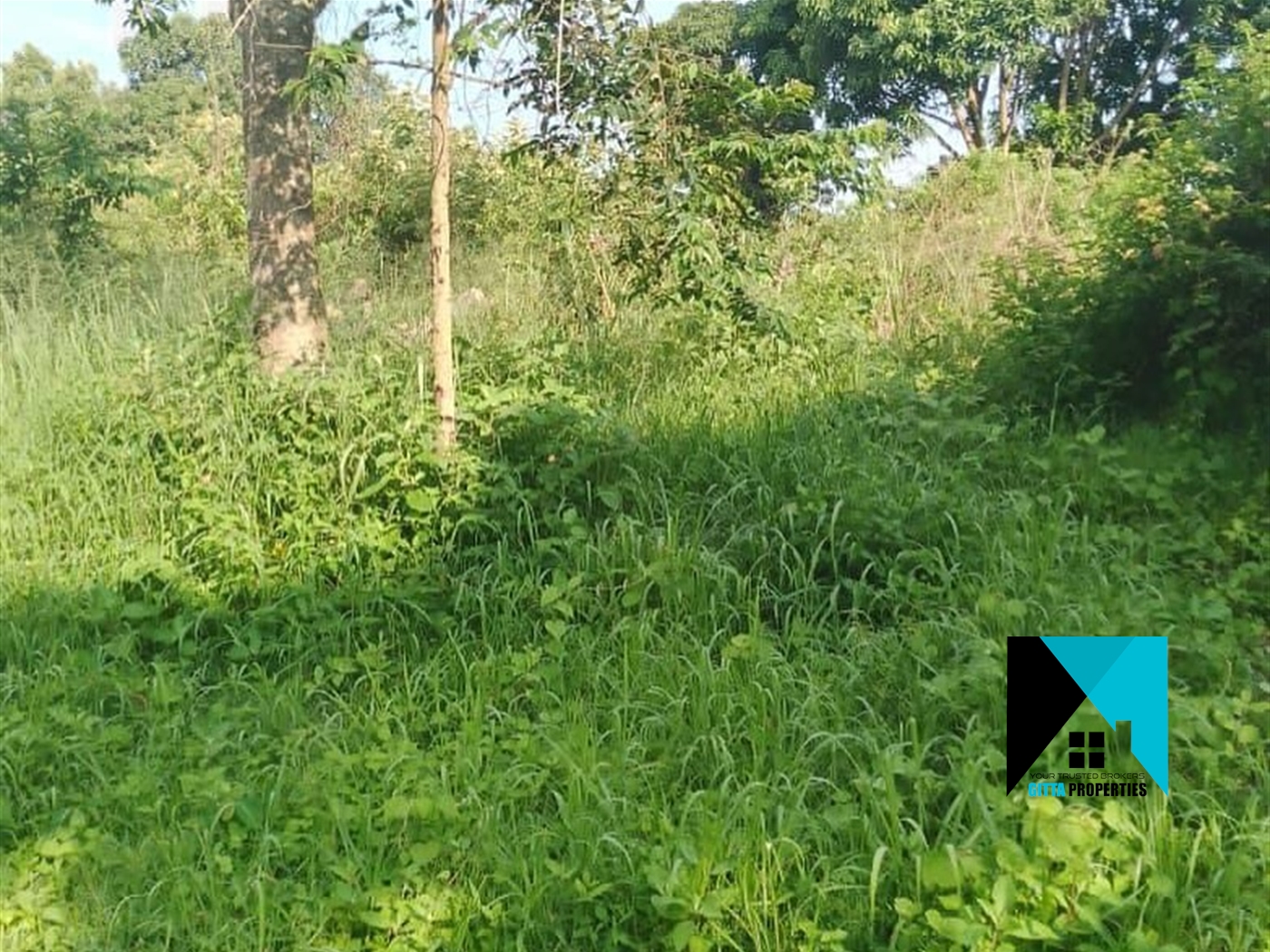 Multipurpose Land for sale in Kassanda Mubende