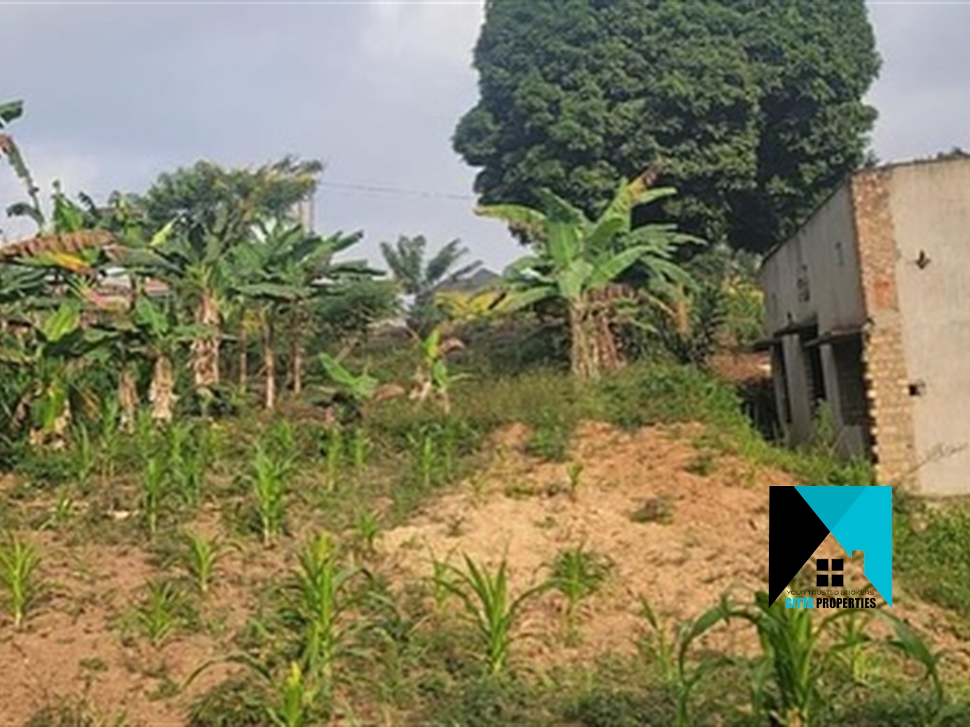 Multipurpose Land for sale in Wabitungulu Luweero