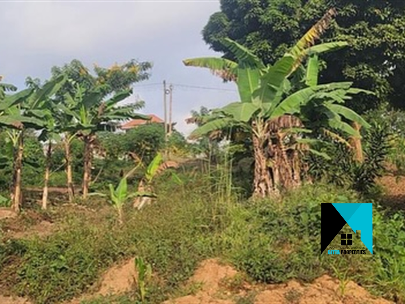 Multipurpose Land for sale in Wabitungulu Luweero