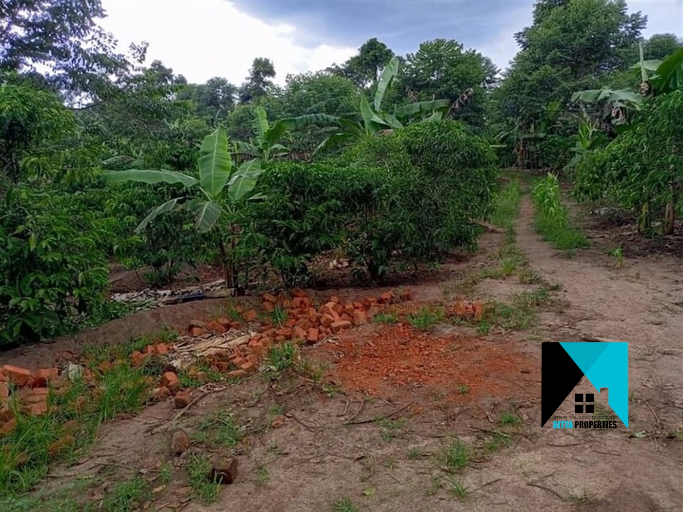 Multipurpose Land for sale in Wobulenzi Luweero