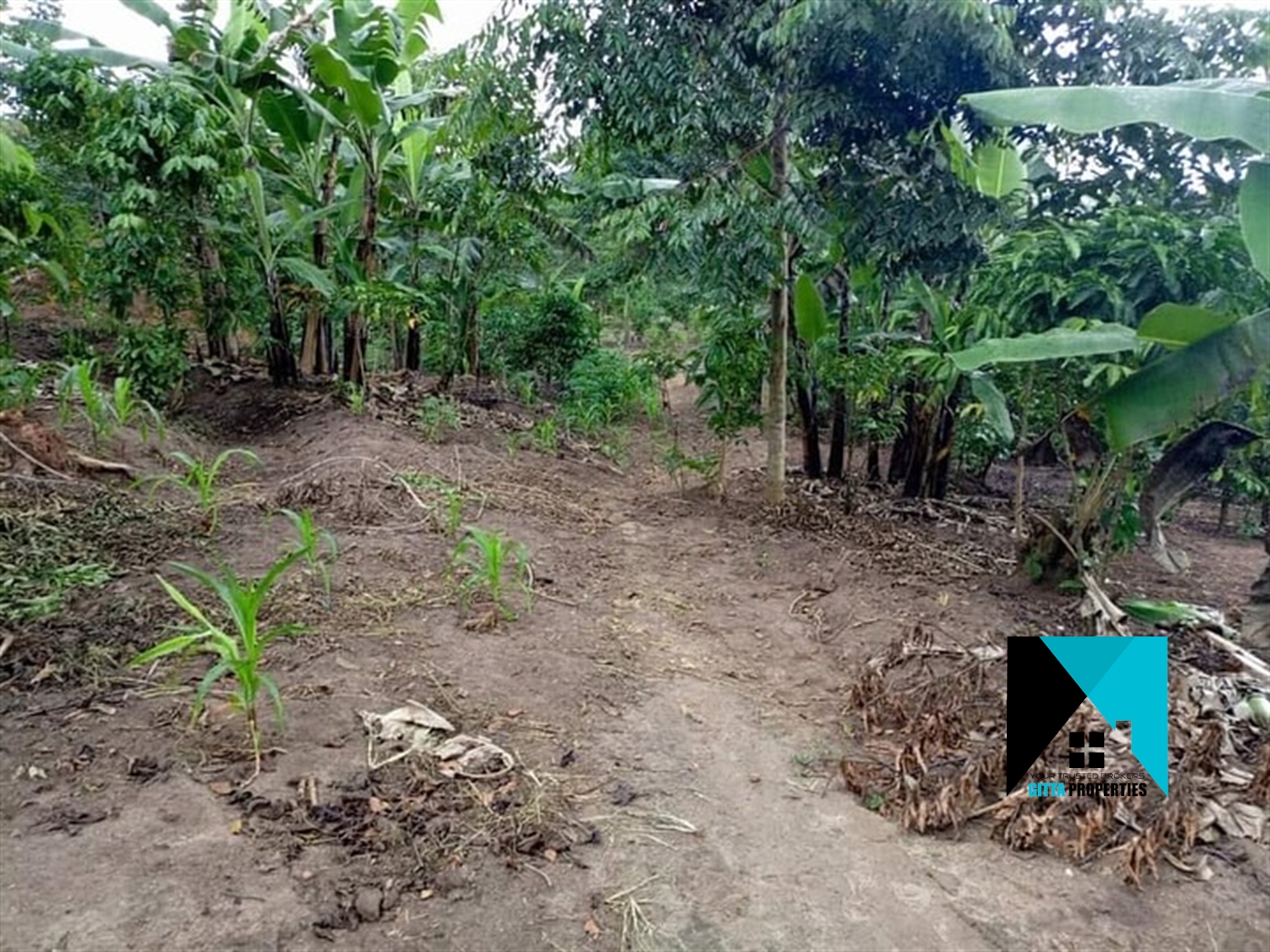 Multipurpose Land for sale in Wobulenzi Luweero