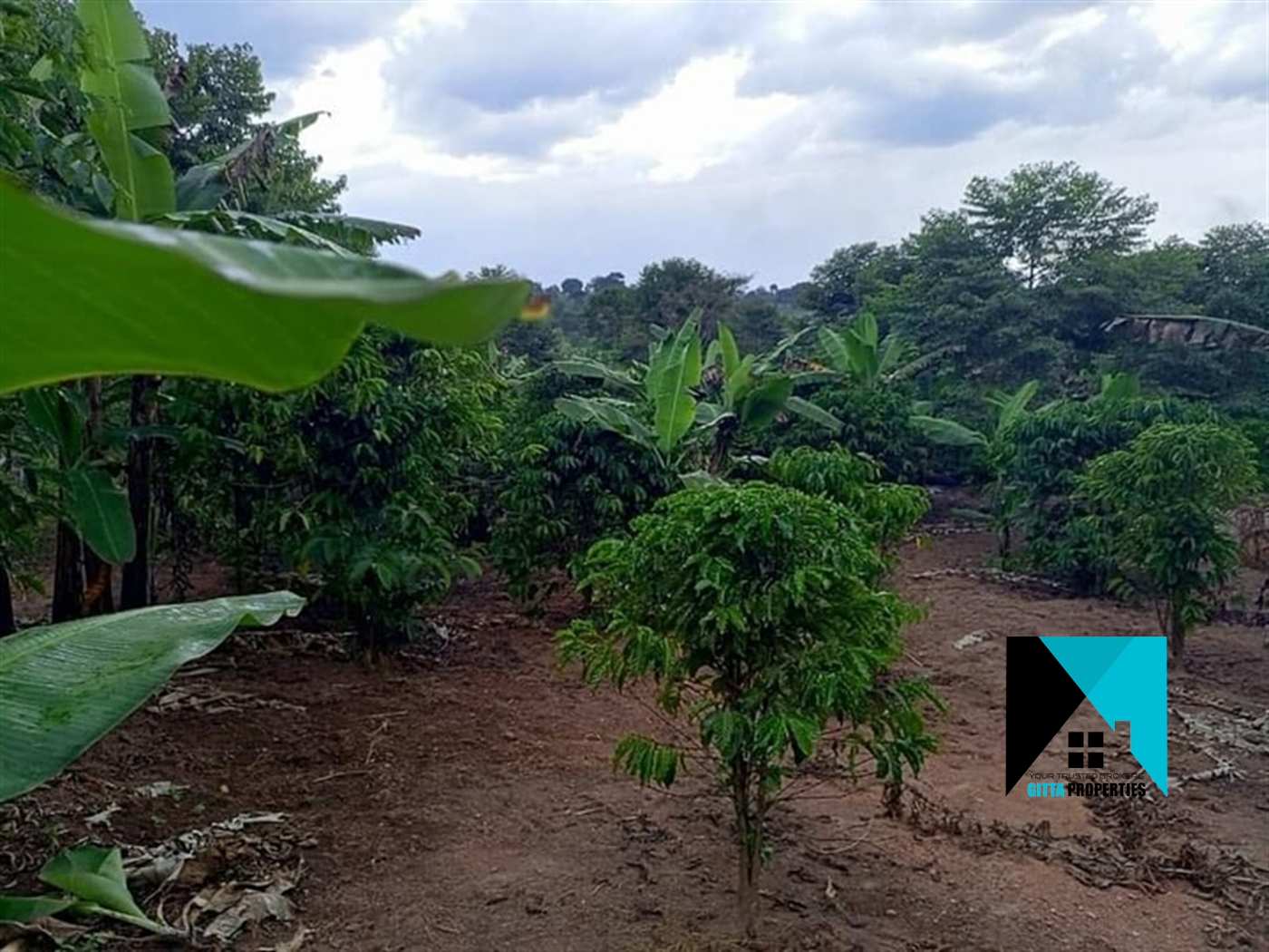 Multipurpose Land for sale in Wobulenzi Luweero