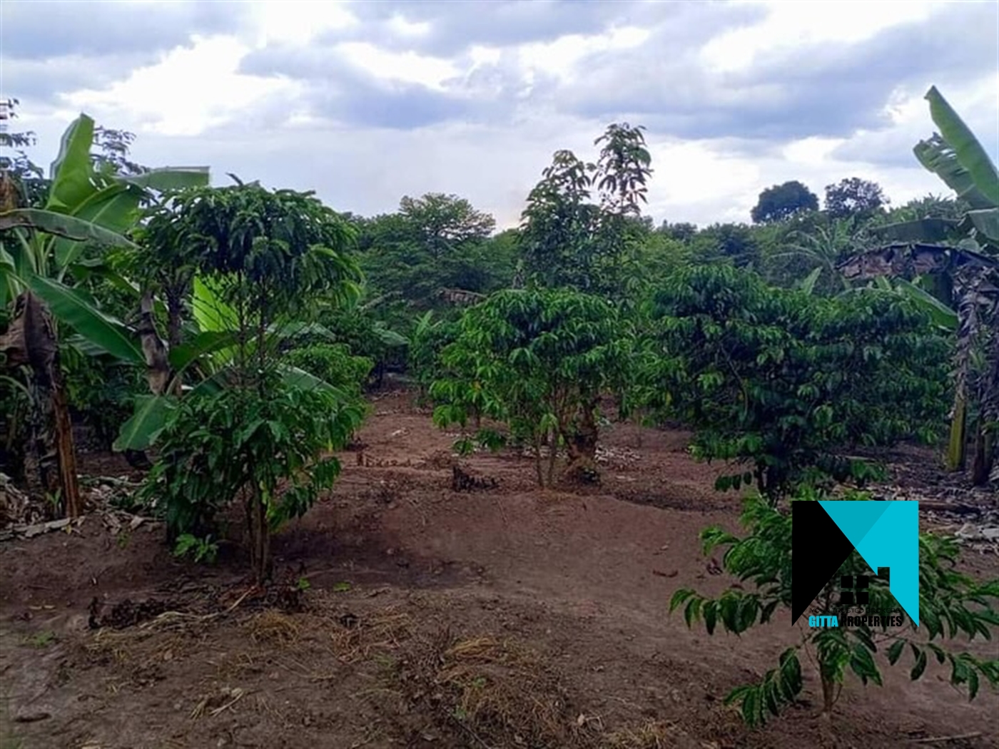 Multipurpose Land for sale in Wobulenzi Luweero