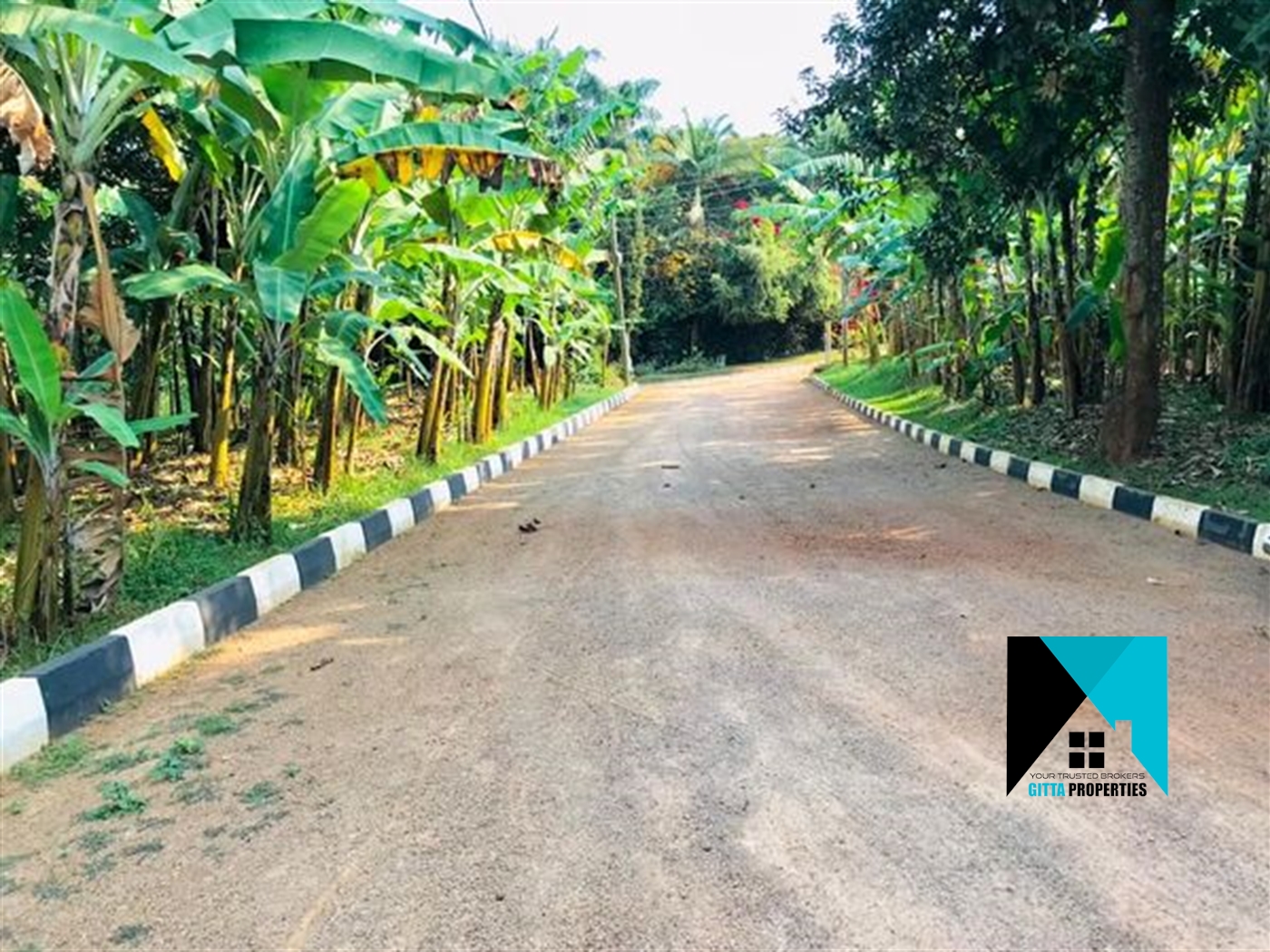 Residential Land for sale in Munyonyo Kampala