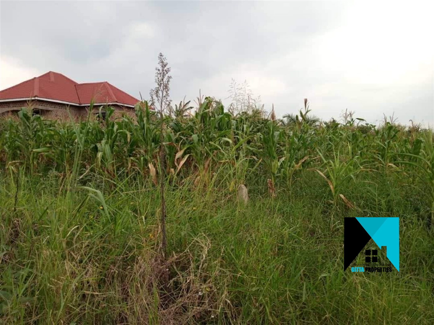 Residential Land for sale in Kavule Wakiso