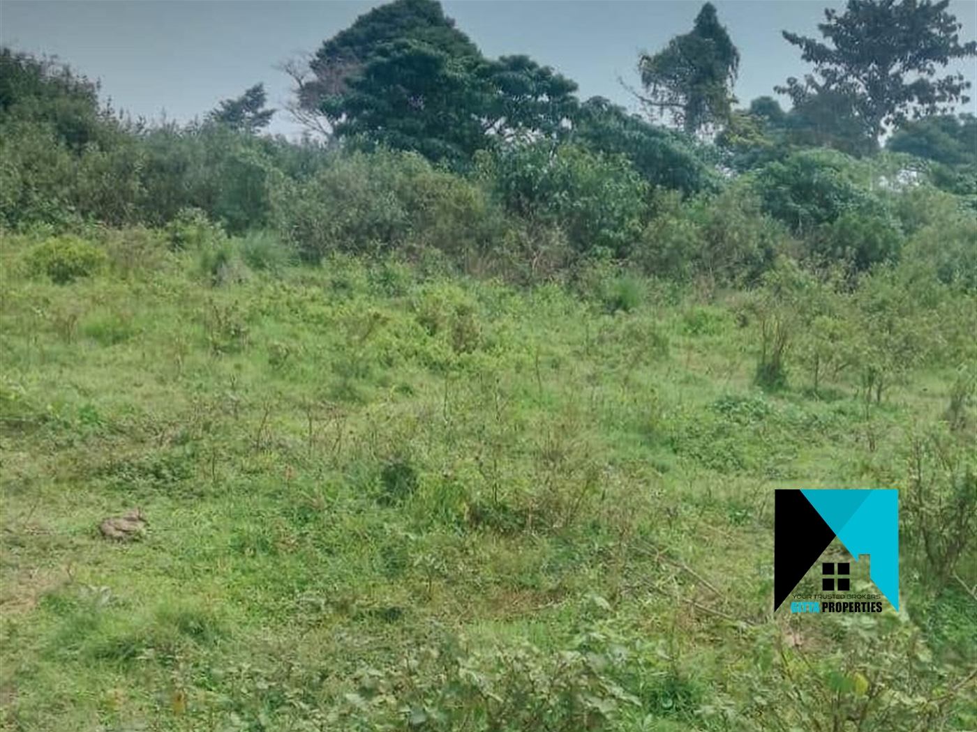 Multipurpose Land for sale in Ssi Buyikwe