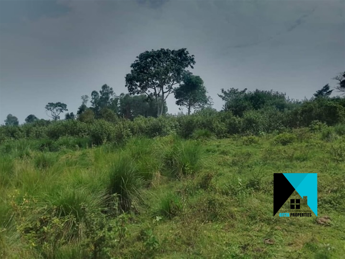 Multipurpose Land for sale in Ssi Buyikwe