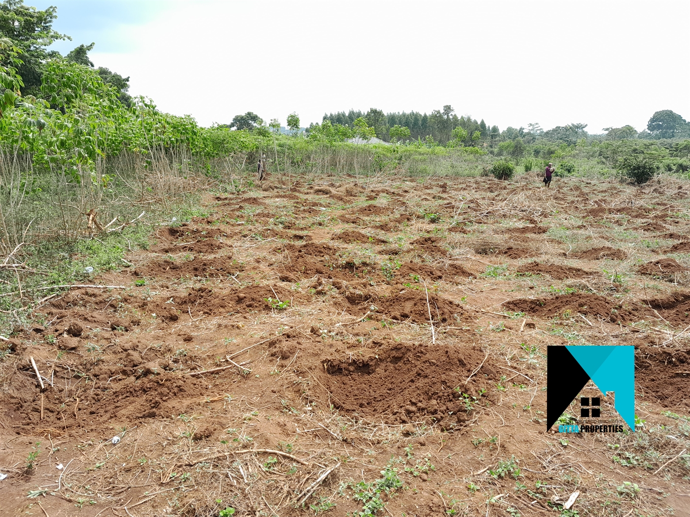 Residential Land for sale in Buddugala Mukono