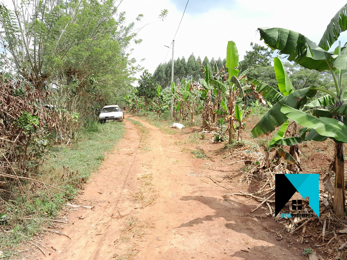 Residential Land for sale in Buddugala Mukono