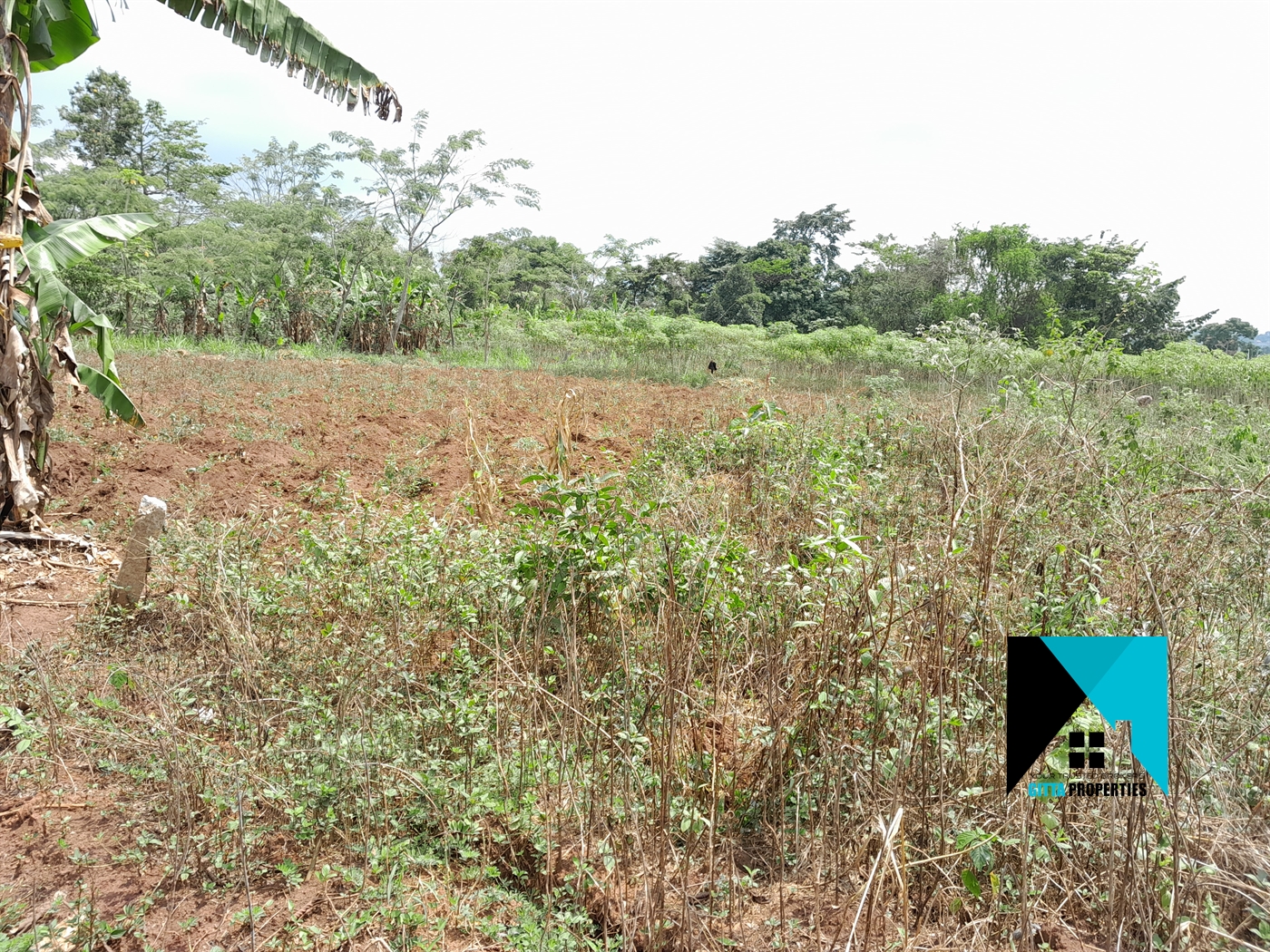 Residential Land for sale in Buddugala Mukono