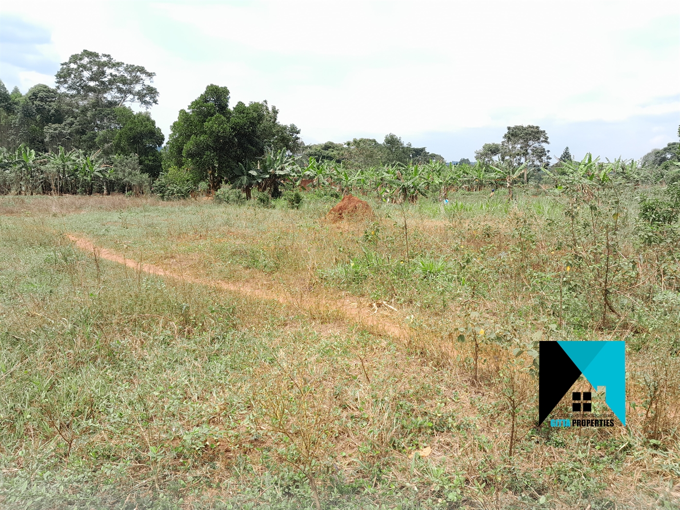 Residential Land for sale in Buddugala Mukono