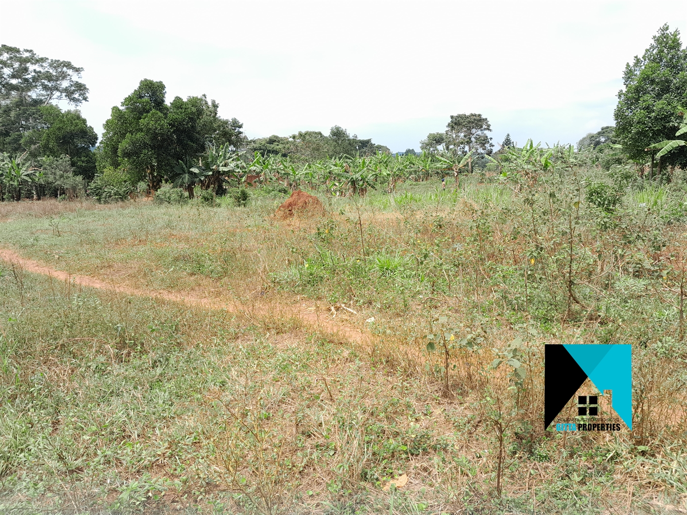 Residential Land for sale in Buddugala Mukono