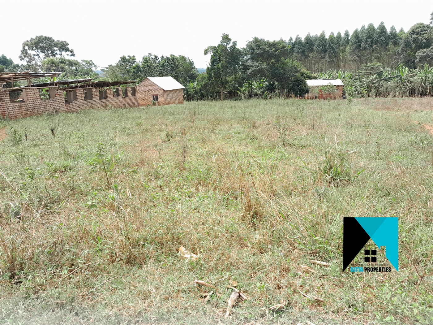 Residential Land for sale in Buddugala Mukono