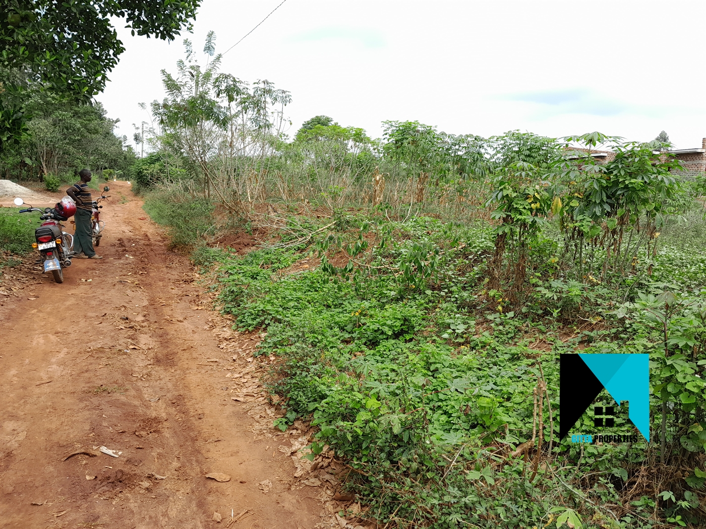 Residential Land for sale in Buddugala Mukono